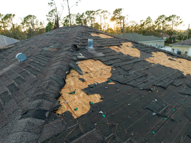 Best Commercial Roofing Services  in Shelburne Falls, MA
